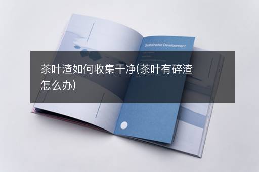 茶叶渣如何收集干净(茶叶有碎渣怎么办)