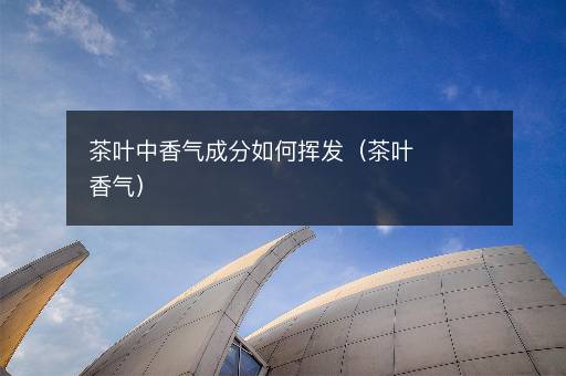 茶叶中香气成分如何挥发（茶叶香气）