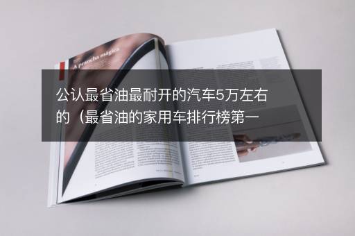 公认最省油最耐开的汽车5万左右的（最省油的家用车排行榜第一名）