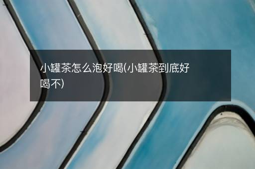 小罐茶怎么泡好喝(小罐茶到底好喝不)