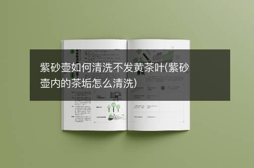 紫砂壶如何清洗不发黄茶叶(紫砂壶内的茶垢怎么清洗)