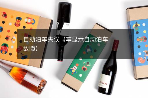 自动泊车失误（车显示自动泊车故障）