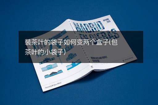装茶叶的袋子如何变两个盒子(包茶叶的小袋子)
